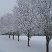 Snow on the Water